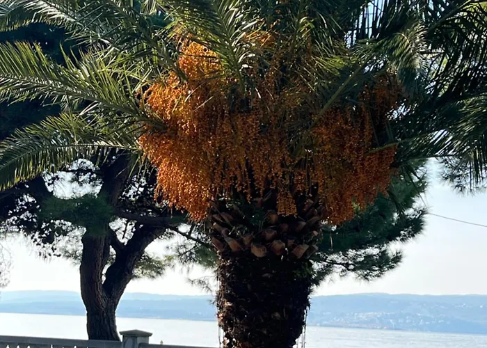 Crikvenica Right On The Beach